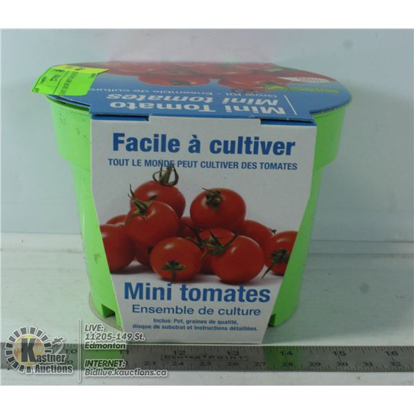 EASY GROW MINI TOMATOES KIT