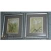 Image 1 : 2 FLOWER THEMED FRAMED AND MATTED PRINTS