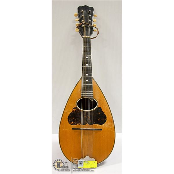 VINTAGE WASHBURN LUTE