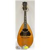 Image 1 : VINTAGE WASHBURN LUTE