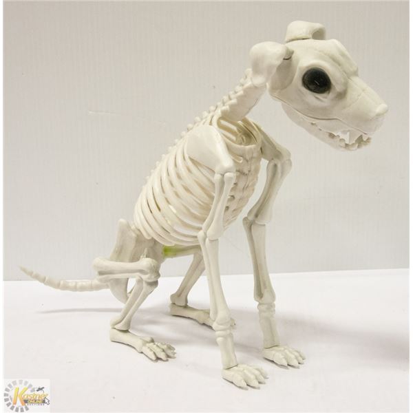 SKELETON DOG