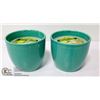 Image 1 : LOT OF 2 X 170G CITRONELLA CANDLES WITH MATCHING