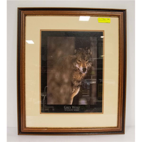 WOLF PICTURE 28 BY 23