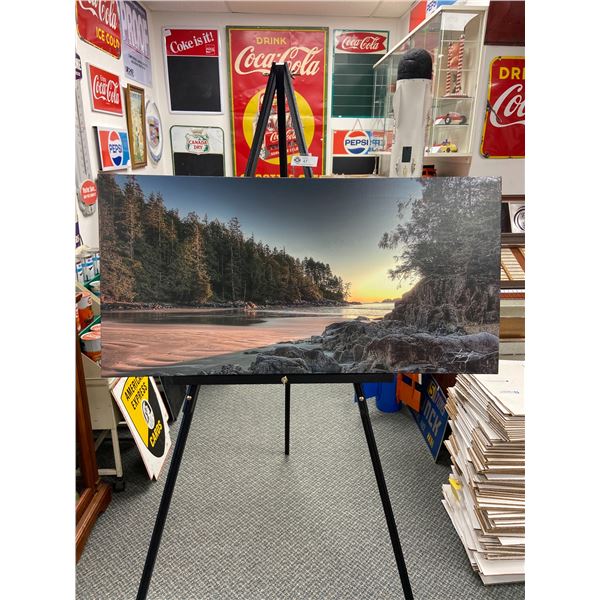 Nice Picture on Canvas Taken In Vancouver Island, Very Nicely Done