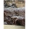 Image 2 : Nice Picture on Canvas Taken In Vancouver Island, Very Nicely Done