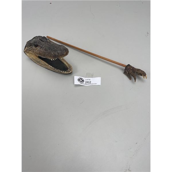 Crocodile Paw Back Scratcher and Crocodile Head