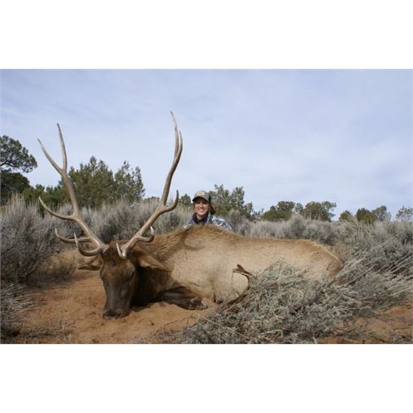 Colorado Guided Archery Bull Elk Hunt