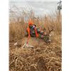 Image 1 : Oklahoma Rifle Whitetail Hunt