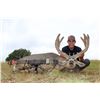 Image 1 : Arizona Archery Mule Deer Hunt