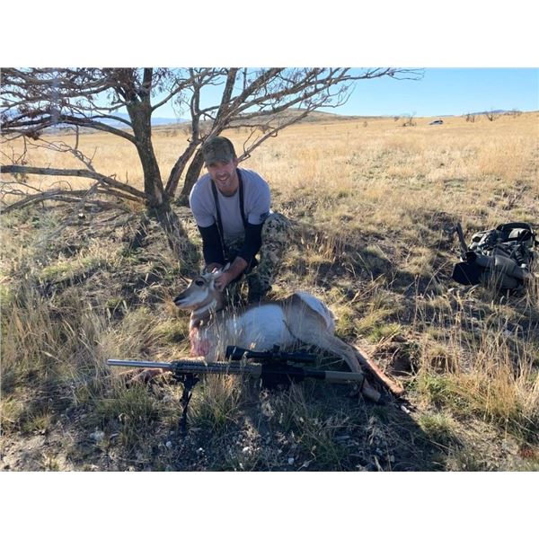 Utah DIY Antelope Doe Hunt