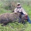 Image 2 : Calif Pig Hunt for 2 Hunters