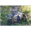 Image 1 : BC Rocky Mountain Elk Hunt
