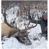 Image 2 : BC Rocky Mountain Elk Hunt
