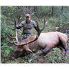Image 3 : BC Rocky Mountain Elk Hunt
