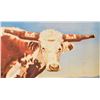 Image 4 : "Longhorns and Longnecks" Poster by Jim Franklin