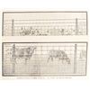 Image 5 : Collection of Early Wire & Fence Advertising