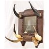 Image 3 : Horn Mirror