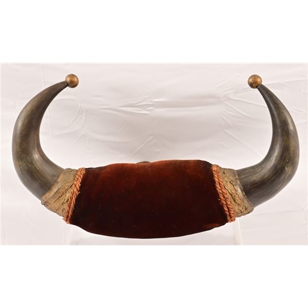 Spanish Fighting Bull-Horns