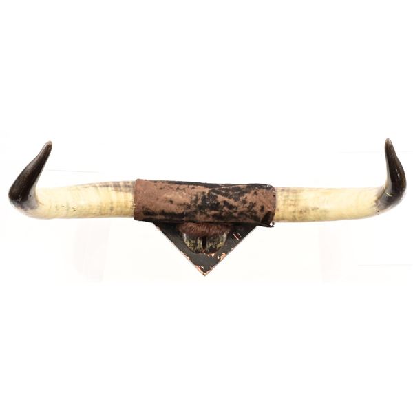 Horn & Hoof Mount
