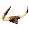 Image 2 : Horn & Hoof Mount