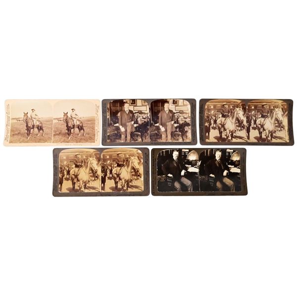 Collection Of 5 Teddy Roosevelt Stereoview Cards