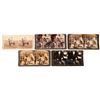 Image 1 : Collection Of 5 Teddy Roosevelt Stereoview Cards