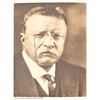 Image 6 : "The Works of Theodore Roosevelt"