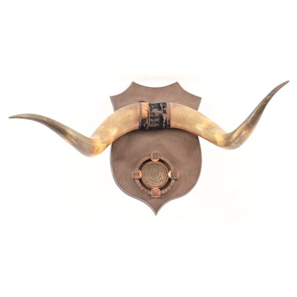 Bull Horn Wall Plaque