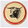 Image 12 : Celluloid Livestock Show & Stockyards Buttons
