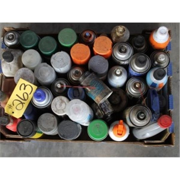 BOX WITH ASSORTED SPRAYS, PAINTS