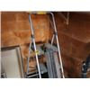Image 1 : STEP LADDER