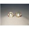 Image 1 : Estate 14K YG Mop Pearl Ruby Diamond Earrings #1870559