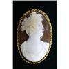 Image 1 : MUSEUM QUALITY ANTIQUE CAMEO BROOCH #1873025