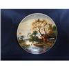 Image 1 : GERMAN  HAND PAINTED PLAQUE #1901396