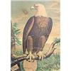 Image 1 : antique 1890s CASE THRESHING EAGLE POSTER  #1914542