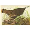 Image 1 : c1946 Audubon Print, #6 Wild Turkey