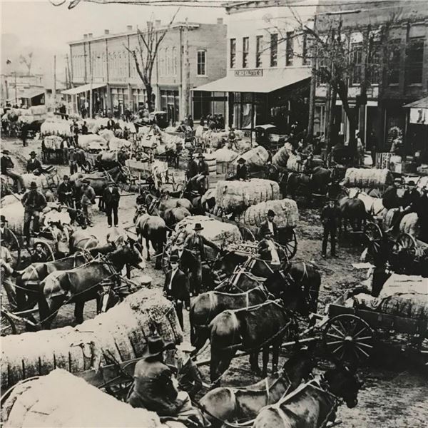 Early 1900's Marietta Square, Georgia, Cotton Wagons Photos