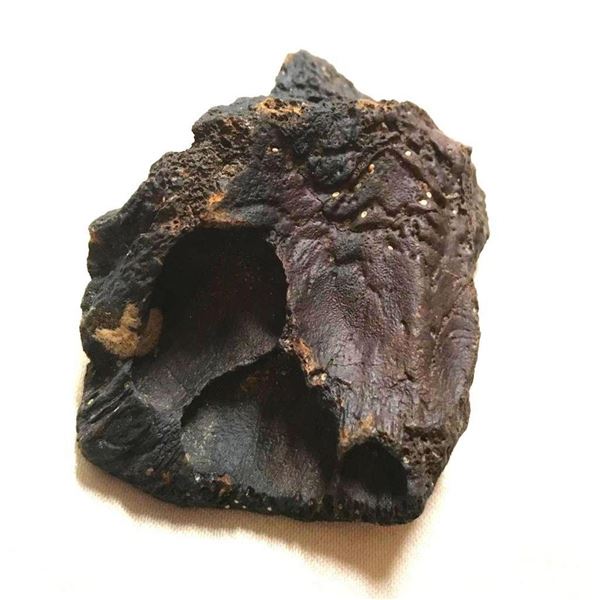 Paleolithic Black Mammoth Bone