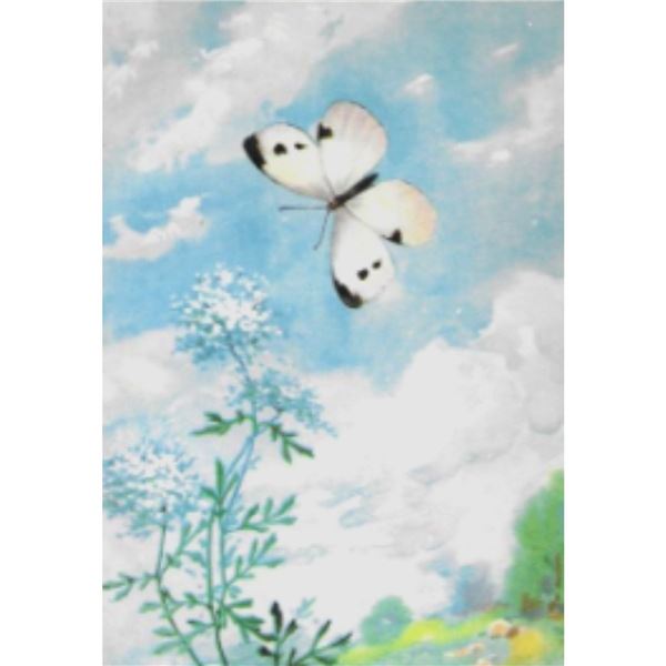 1920's Cabbage Butterfly Color Lithograph Print