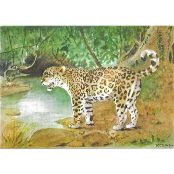1920's Jaguar, Color Lithograph Print