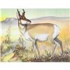 Image 1 : 1920's Antelope Color Lithograph Print