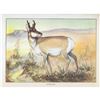Image 3 : 1920's Antelope Color Lithograph Print