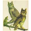 Image 1 : c1946 Audubon Print, #66 Great Horned Owl