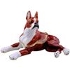 Image 1 : Little Boxer Dog Trinket Jewel Box