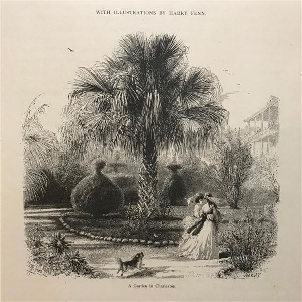 1870's Engraving, A Garden in Charleston South Carolina, Palmetto Tree