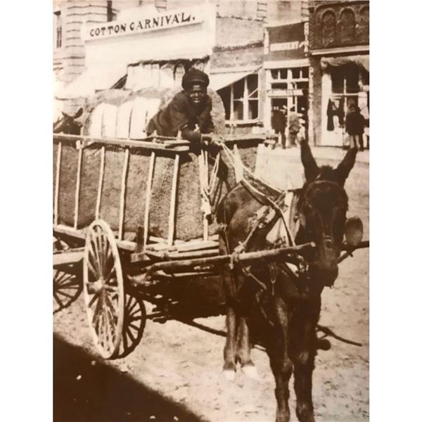 African American History, Black Americana Photo Print, Boy & Cotton Cart