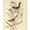 Image 2 : c1946 Audubon Print, #29 Towhee