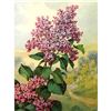 Image 1 : 1920's Lilac Color Lithograph Print