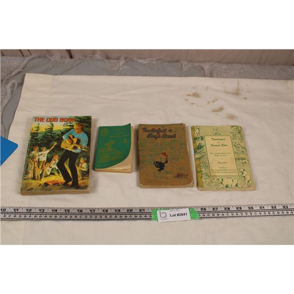 Vintage Boy Scout and other Books