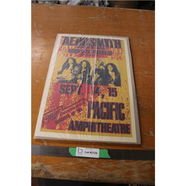 Aerosmith Guns and Roses Concert Poster